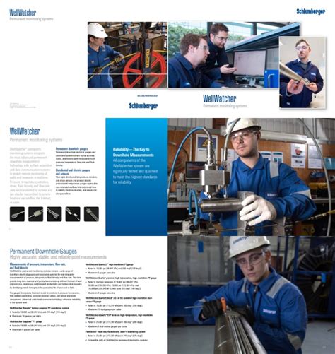 wellwatcher instruct|Wellwatcher Brochure .